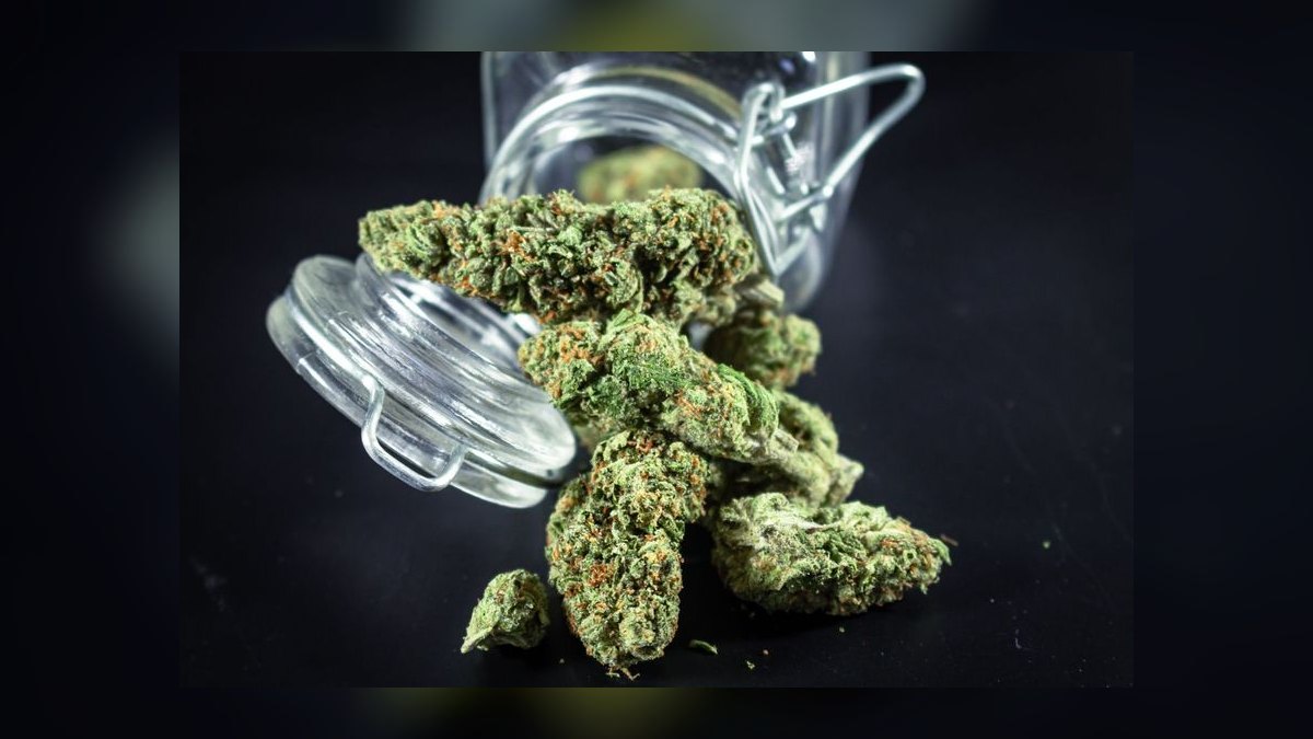 What is the go-to-market playbook for cannabis dispensaries in 2027 — figure 4