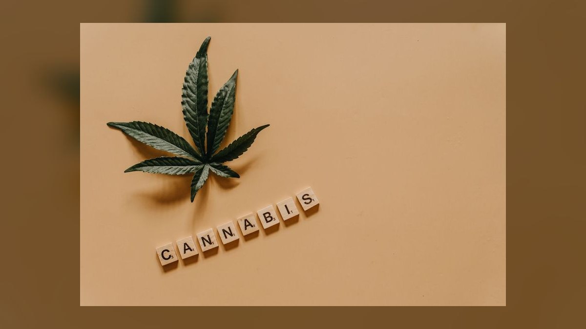 What is the go-to-market playbook for cannabis dispensaries in 2027 — figure 6