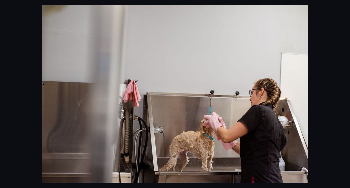 What is the go-to-market playbook for pet care and grooming chains in 2027?