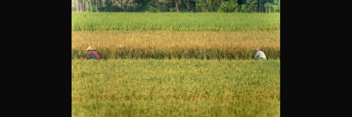 What are the key sales KPIs for the Agricultural Equipment Dealership industry in 2027?