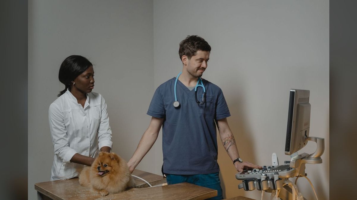 What are the key sales KPIs for the Veterinary Pharmaceutical Distribution industry in 2027 — figure 1