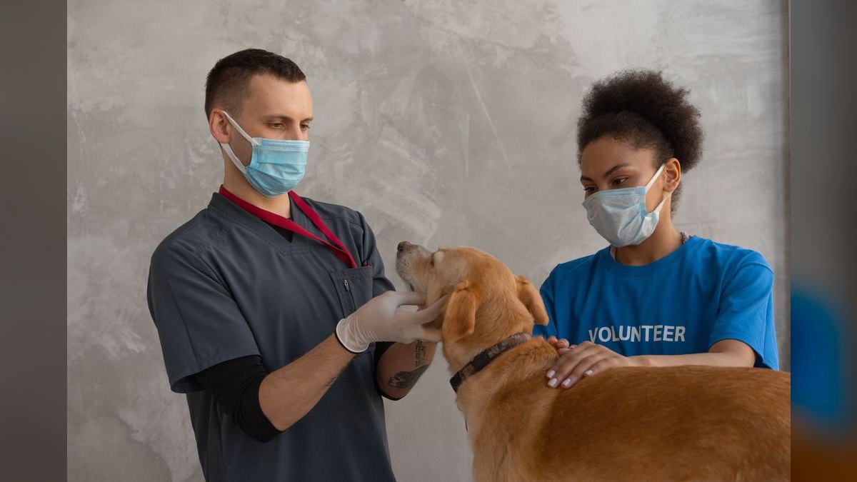 What are the key sales KPIs for the Veterinary Pharmaceutical Distribution industry in 2027 — figure 5