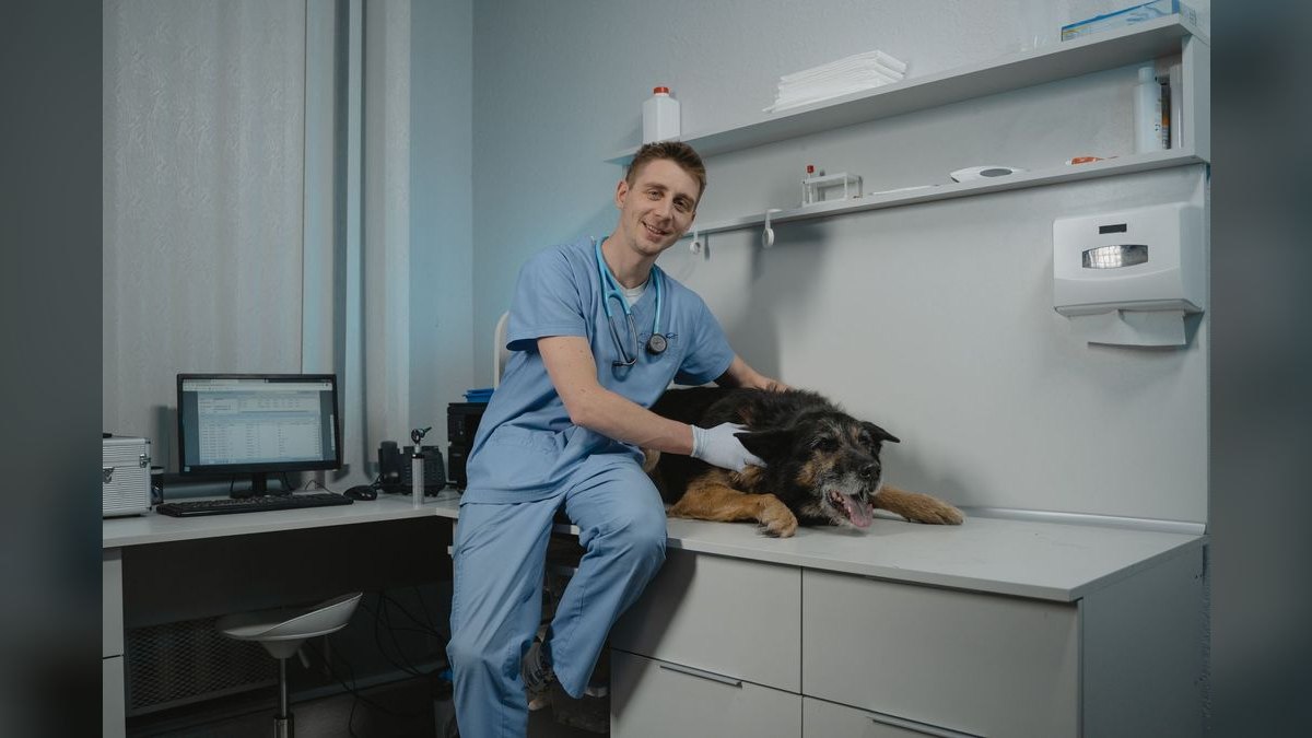What are the key sales KPIs for the Veterinary Equipment & Surgical Supply Distribution industry in 2027 — figure 2