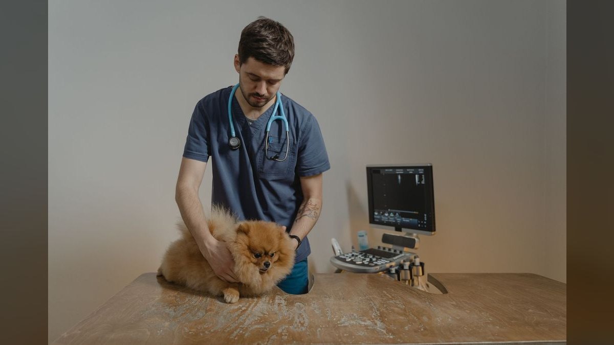 What are the key sales KPIs for the Veterinary Equipment & Surgical Supply Distribution industry in 2027 — figure 4