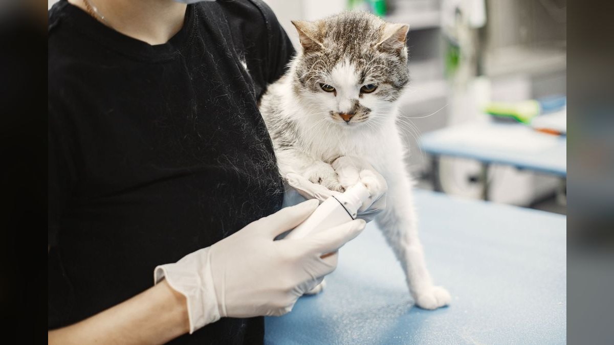What are the key sales KPIs for the Veterinary Equipment & Surgical Supply Distribution industry in 2027 — figure 5