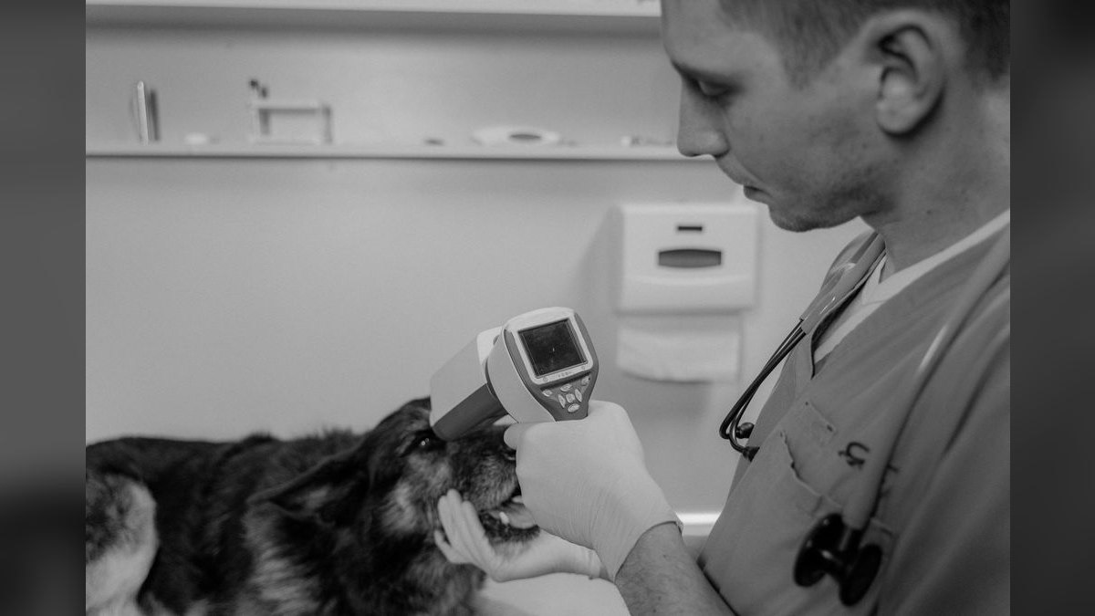 What are the key sales KPIs for the Veterinary Equipment & Surgical Supply Distribution industry in 2027 — figure 6