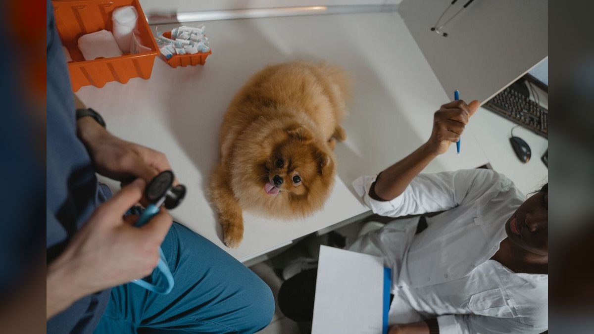 What are the key sales KPIs for the Veterinary Equipment & Surgical Supply Distribution industry in 2027?