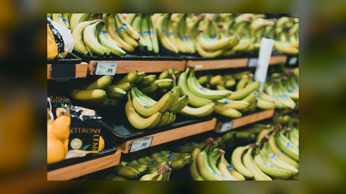 What are the key sales KPIs for the Wholesale Florist & Floral Supply Distribution industry in 2027 — figure 10