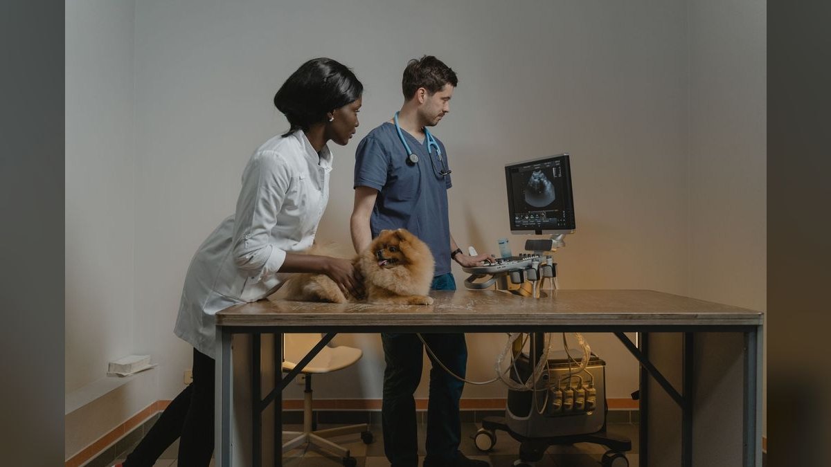 What are the key sales KPIs for the Veterinary Reference Laboratory Courier & Specimen Logistics industry in 2027 — figure 2