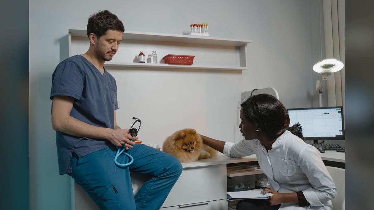 What are the key sales KPIs for the Veterinary Reference Laboratory Courier & Specimen Logistics industry in 2027 — figure 3