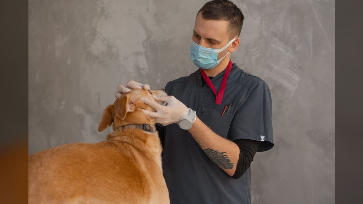 What are the key sales KPIs for the Veterinary Reference Laboratory Courier & Specimen Logistics industry in 2027?