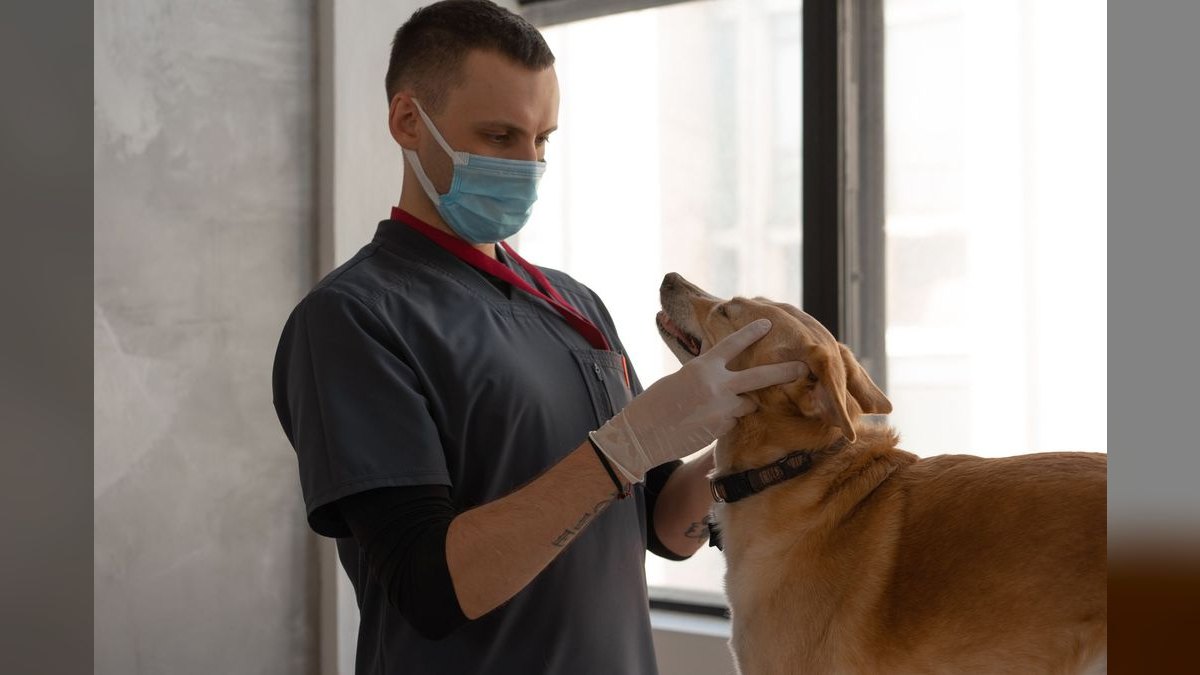 What are the key sales KPIs for the Veterinary Cremation & Pet Aftercare Services industry in 2027 — figure 1