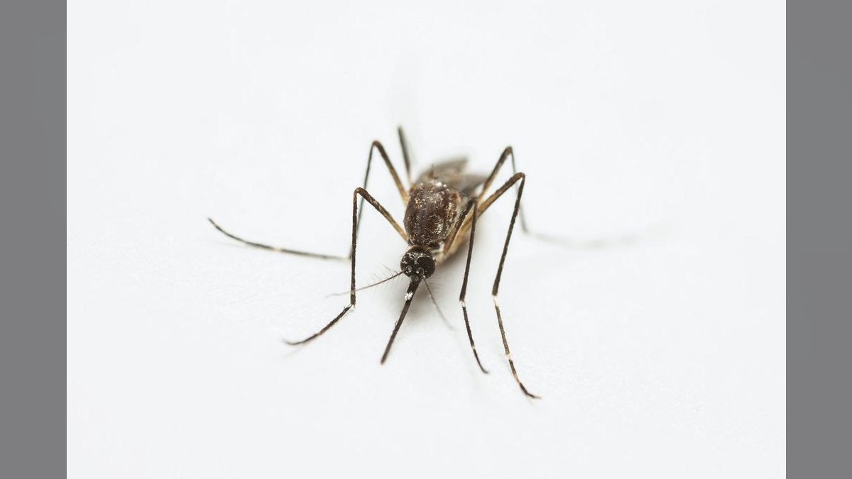 What are the key sales KPIs for the Mosquito & Vector Control Services industry in 2027 — figure 2