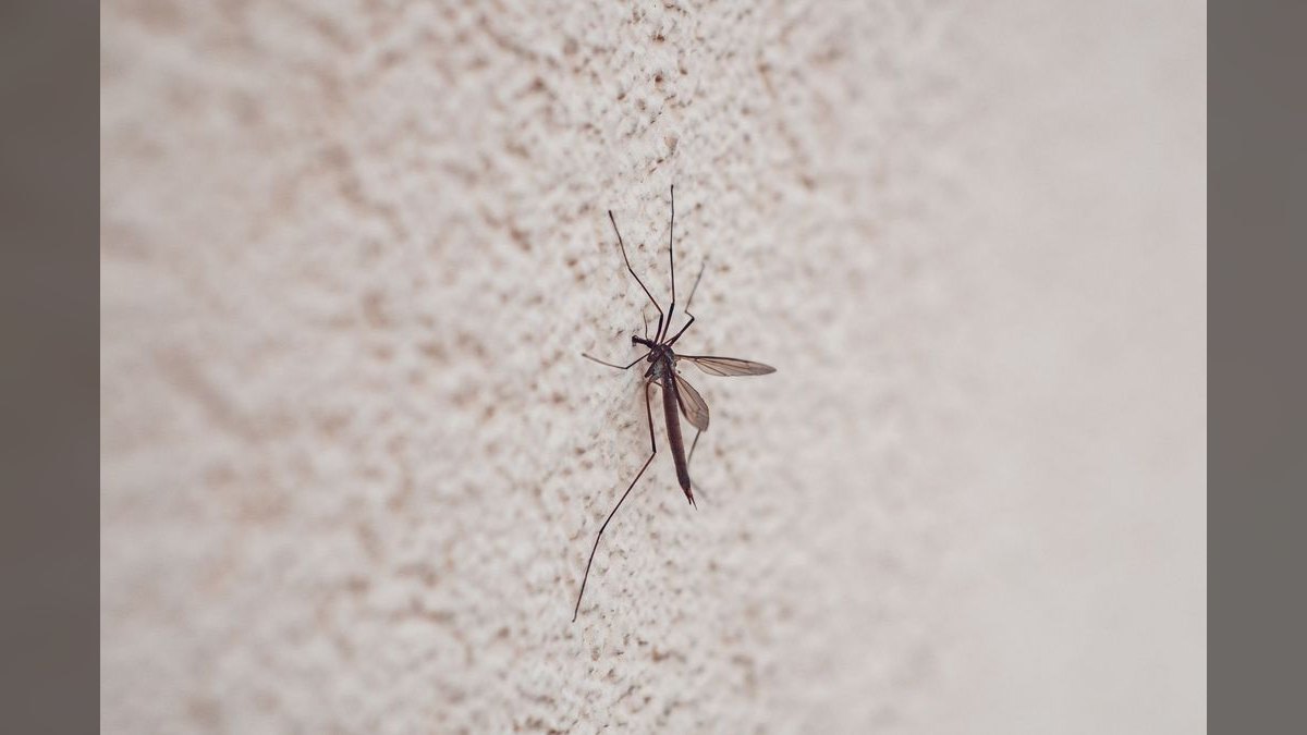 What are the key sales KPIs for the Mosquito & Vector Control Services industry in 2027 — figure 5
