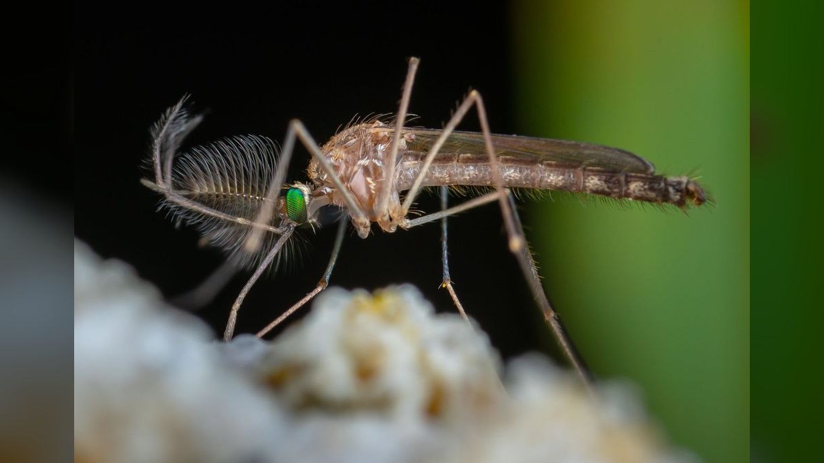 What are the key sales KPIs for the Mosquito & Vector Control Services industry in 2027 — figure 6