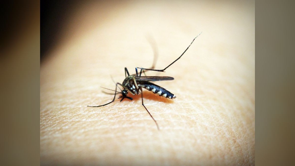 What are the key sales KPIs for the Mosquito & Vector Control Services industry in 2027?