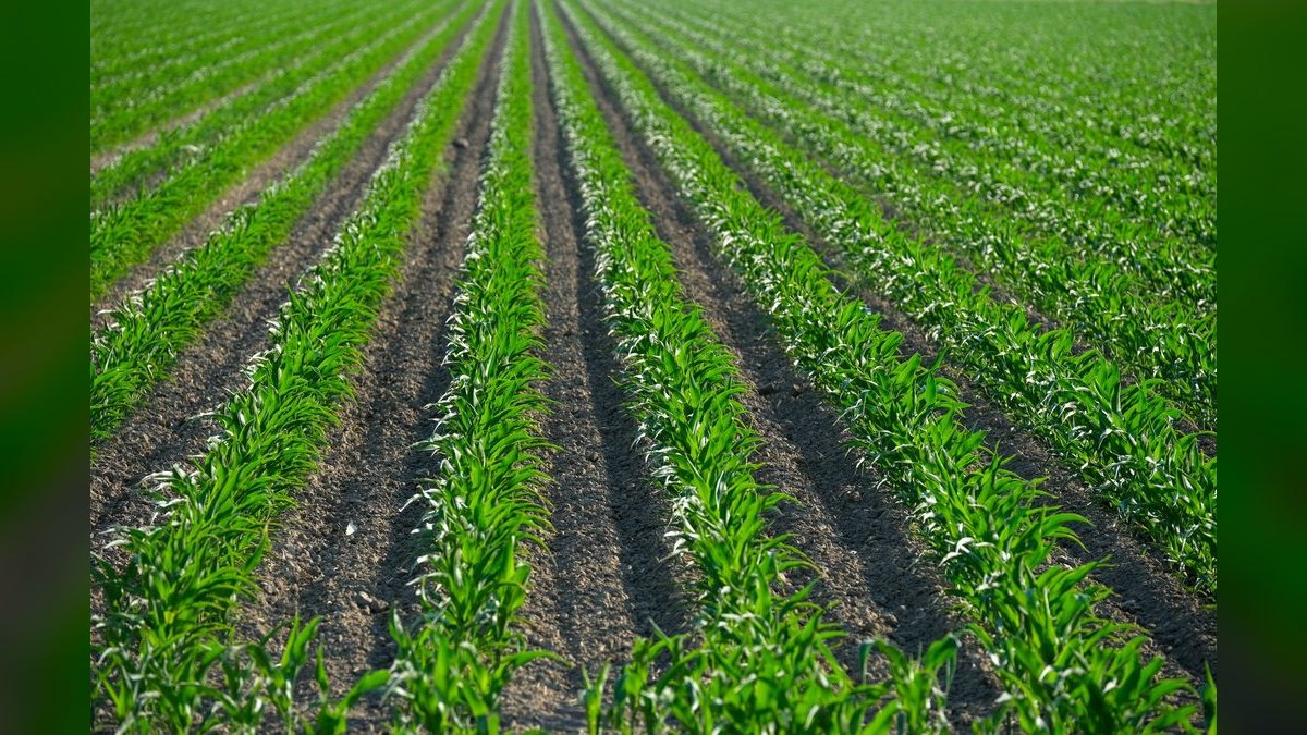 What are the key sales KPIs for the Agronomy & Crop Advisory Services industry in 2027 — figure 1