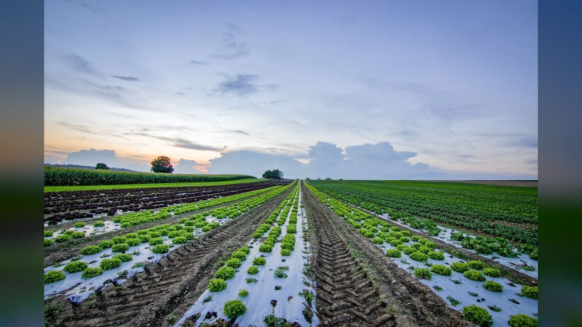 What are the key sales KPIs for the Agronomy & Crop Advisory Services industry in 2027 — figure 6