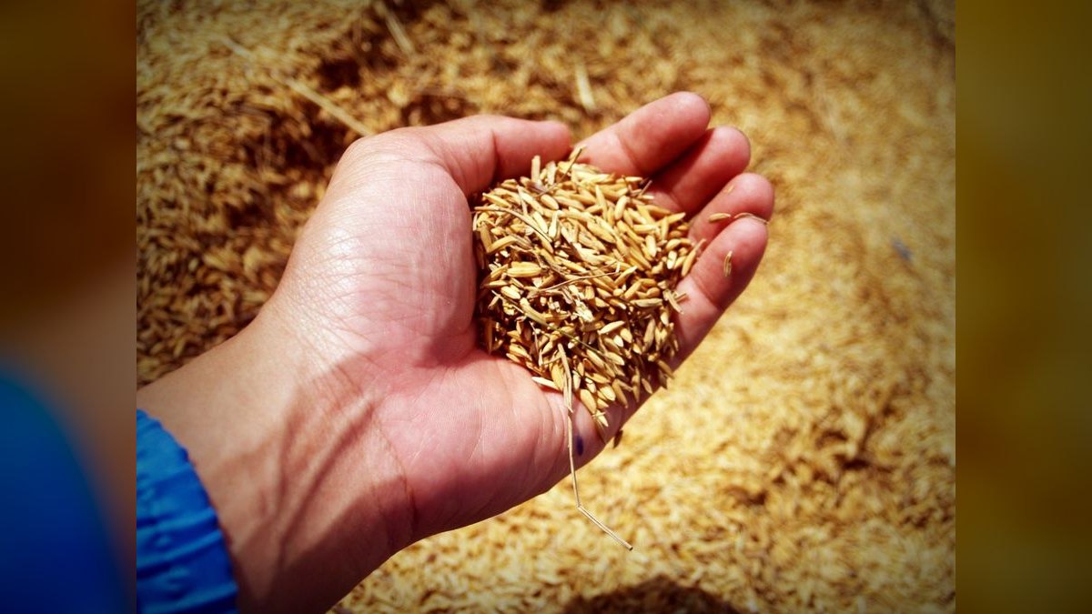 What are the key sales KPIs for the Grain Elevator & Bulk Grain Handling industry in 2027 — figure 4