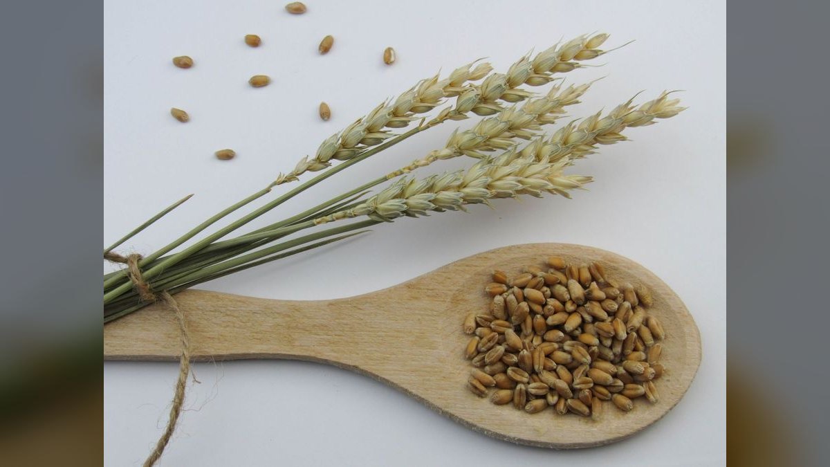 What are the key sales KPIs for the Grain Elevator & Bulk Grain Handling industry in 2027 — figure 6