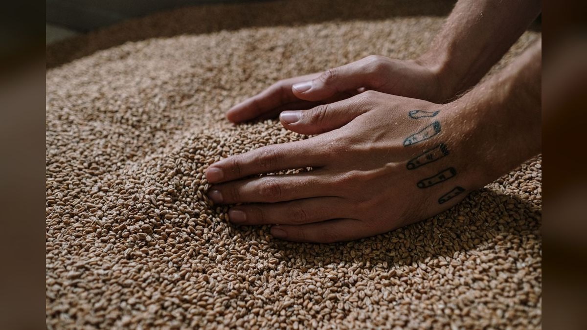 What are the key sales KPIs for the Grain Elevator & Bulk Grain Handling industry in 2027?