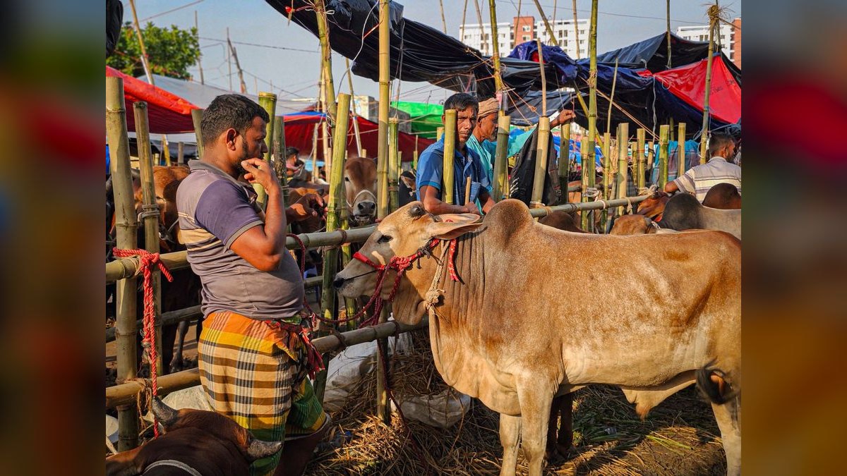 What are the key sales KPIs for the Livestock Auction & Marketing Services industry in 2027 — figure 3