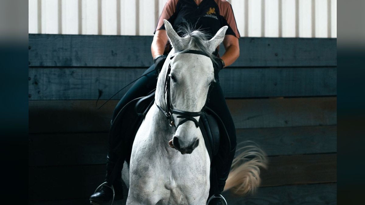 What are the key sales KPIs for the Equine Boarding & Training Facilities industry in 2027?