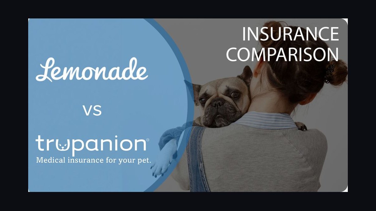 Top 10 Sales KPIs for Pet Insurance in 2027 — figure 9
