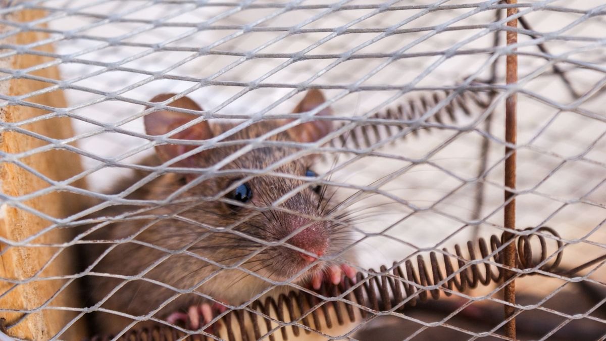 The Best KPIs for Pest Control Companies in 2027 — figure 3