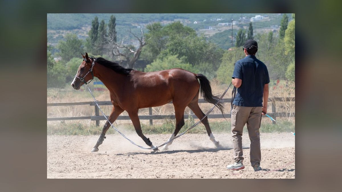 What are the key sales KPIs for the equine breeding industry in 2027 — figure 9