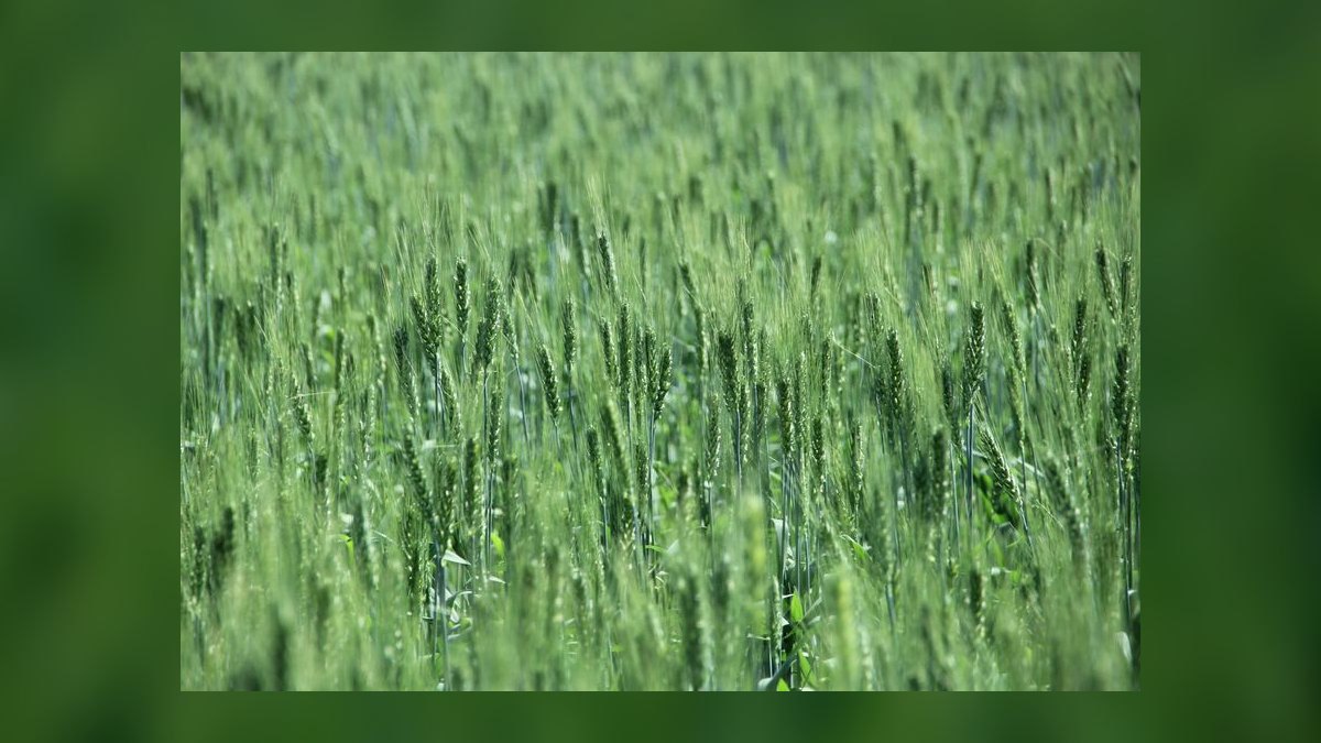 Yield per Acre in Agriculture: Precision Farming’s Revenue Impact KPI in 2027 — figure 10