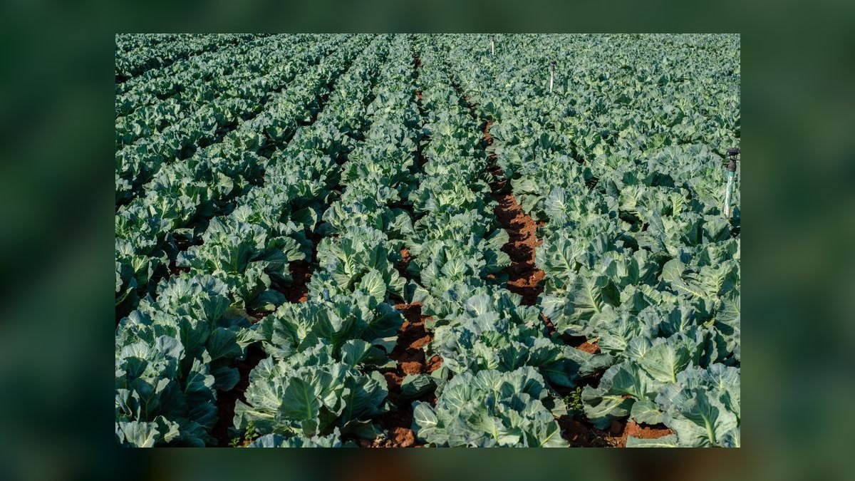 Yield per Acre in Agriculture: Precision Farming’s Revenue Impact KPI in 2027 — figure 4