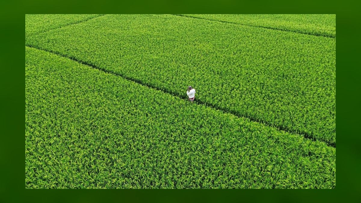 Yield per Acre in Agriculture: Precision Farming’s Revenue Impact KPI in 2027 — figure 9