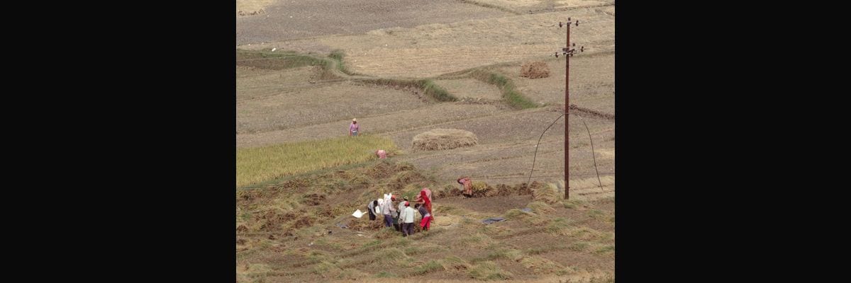 Yield per Acre in Agriculture: Precision Farming’s Revenue Impact KPI in 2027