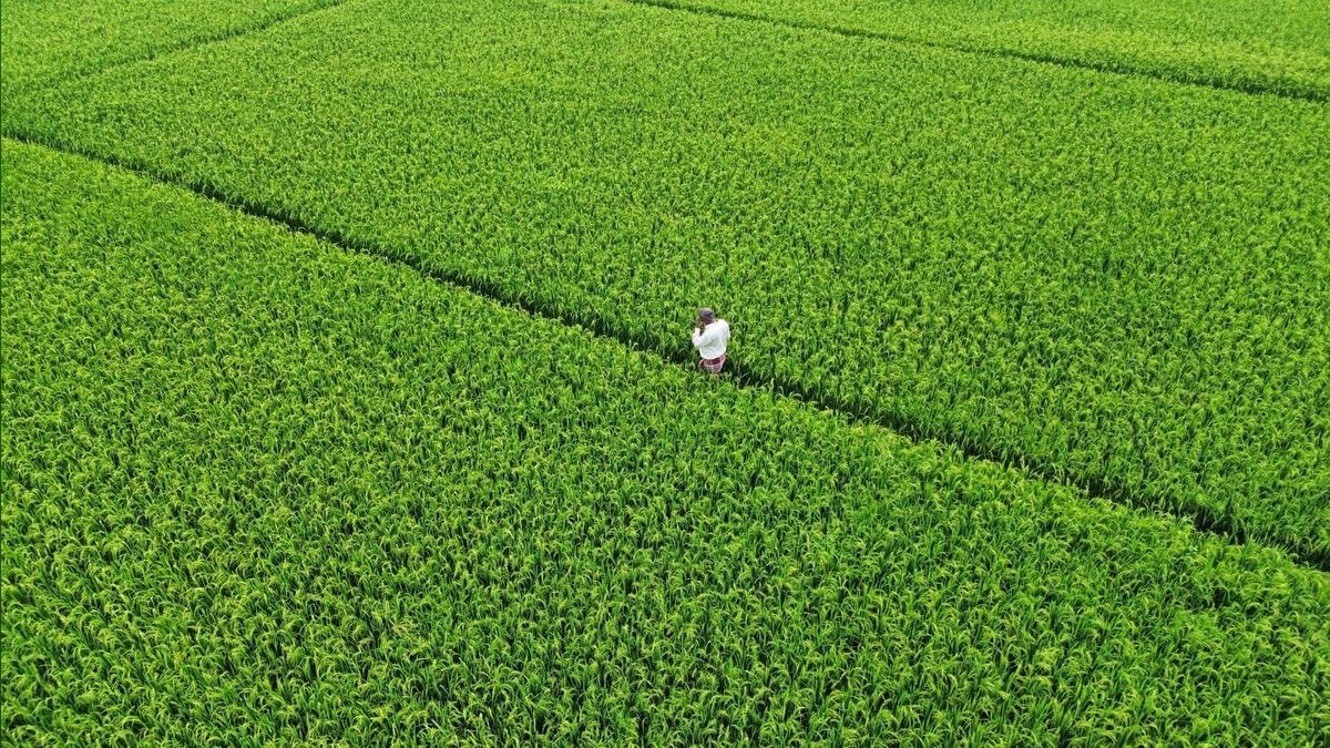 Top 10 Agriculture Yield per Acre and Revenue per Crop Metrics in 2027 — figure 4