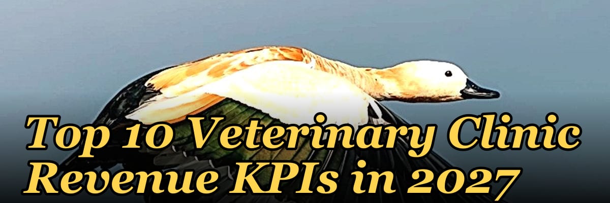 veterinary financial KPI dashboard
