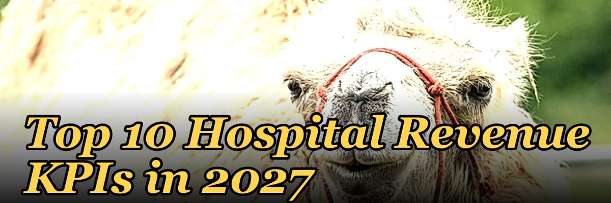 Top 10 Hospital Revenue KPIs in 2027