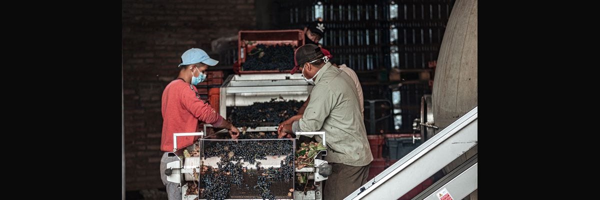What are the most important KPIs every winery should track in 2027?