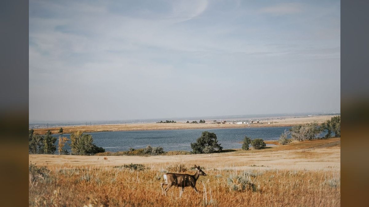 The 10 Best Suburbs Near Denver, Colorado in 2027 — figure 2