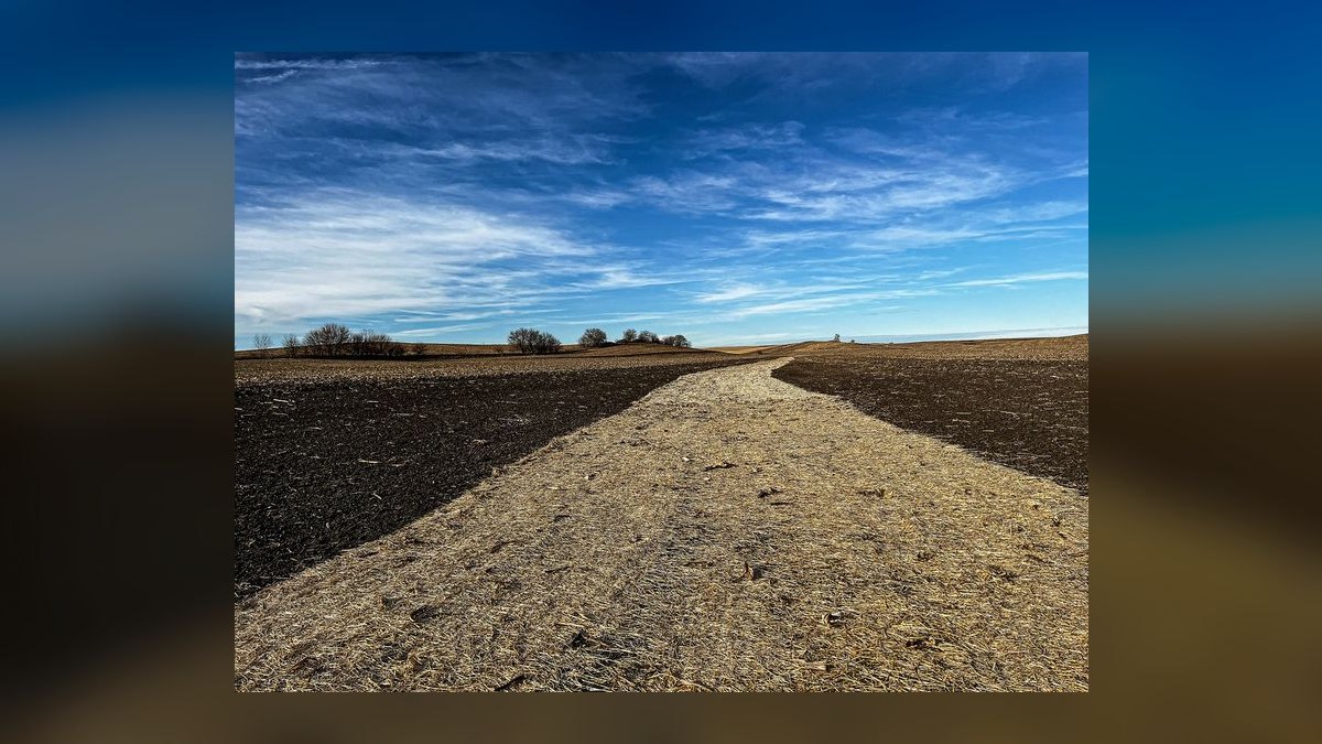 Top 10 Best Towns to Live in Virginia in 2027 — figure 8