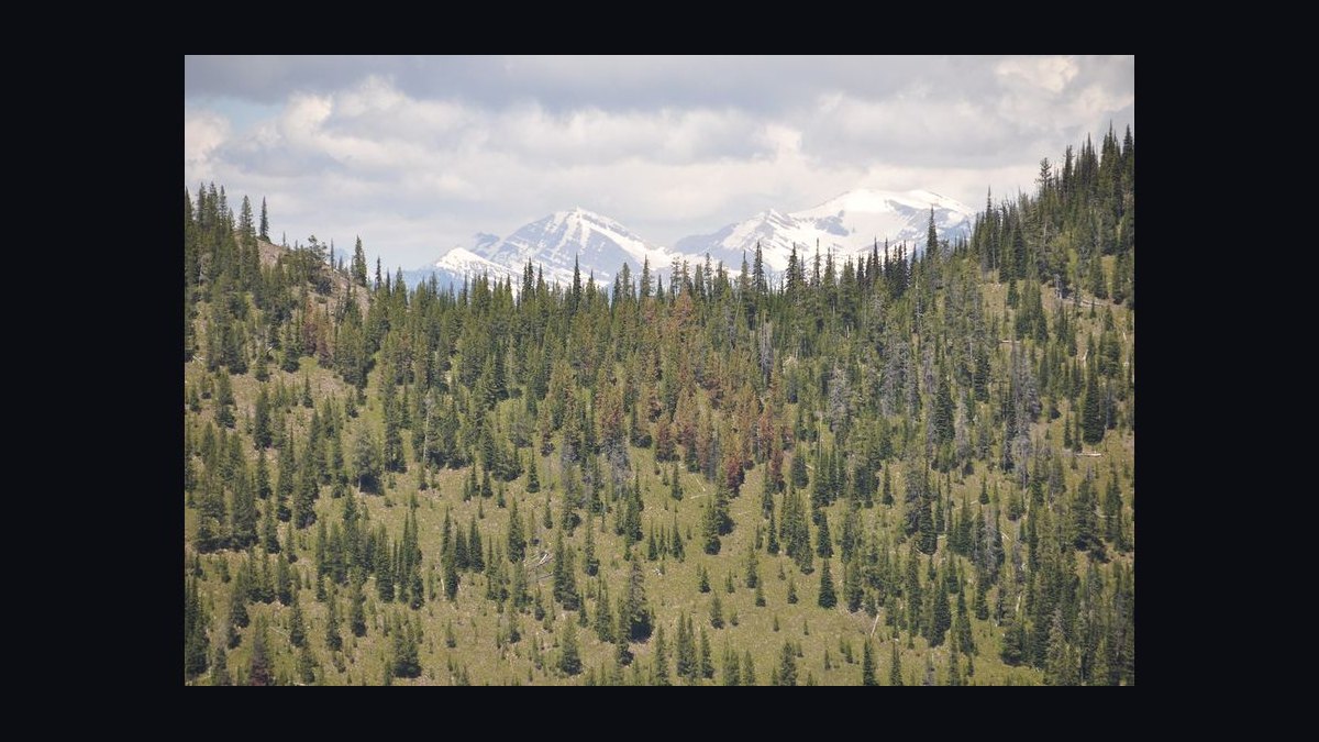 Top 10 Best Towns to Live in the Mountain West in 2027 — figure 8