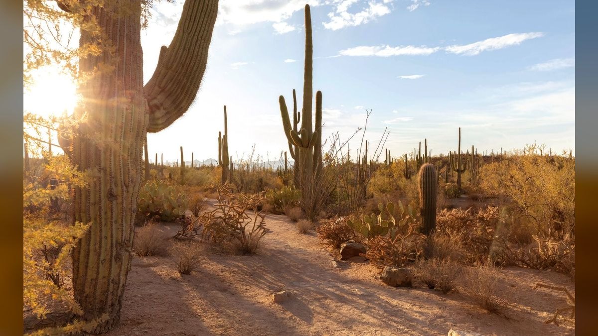 Top 10 Best Towns to Live in the Southwest in 2027