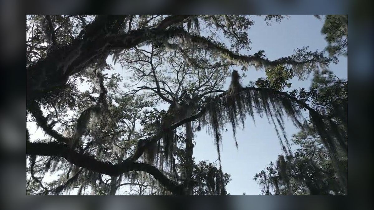 Top 10 Best Towns to Live in the Gulf Coast in 2027