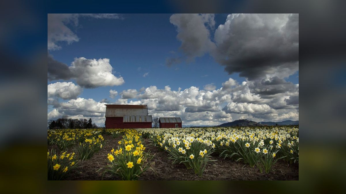 Top 10 Best Towns to Live in Oregon in 2027 — figure 3