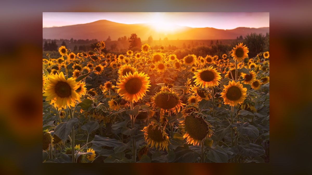 Top 10 Best Towns to Live in Oregon in 2027 — figure 7