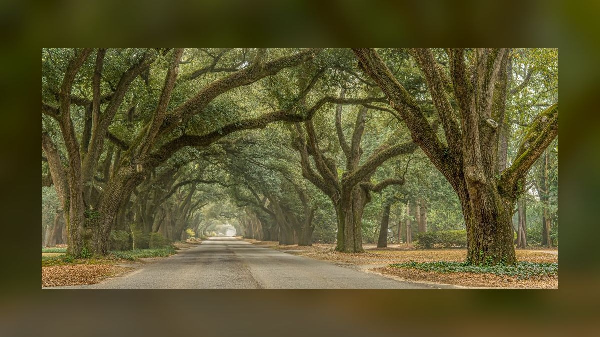 Top 10 Best Towns to Live in South Carolina in 2027 — figure 7