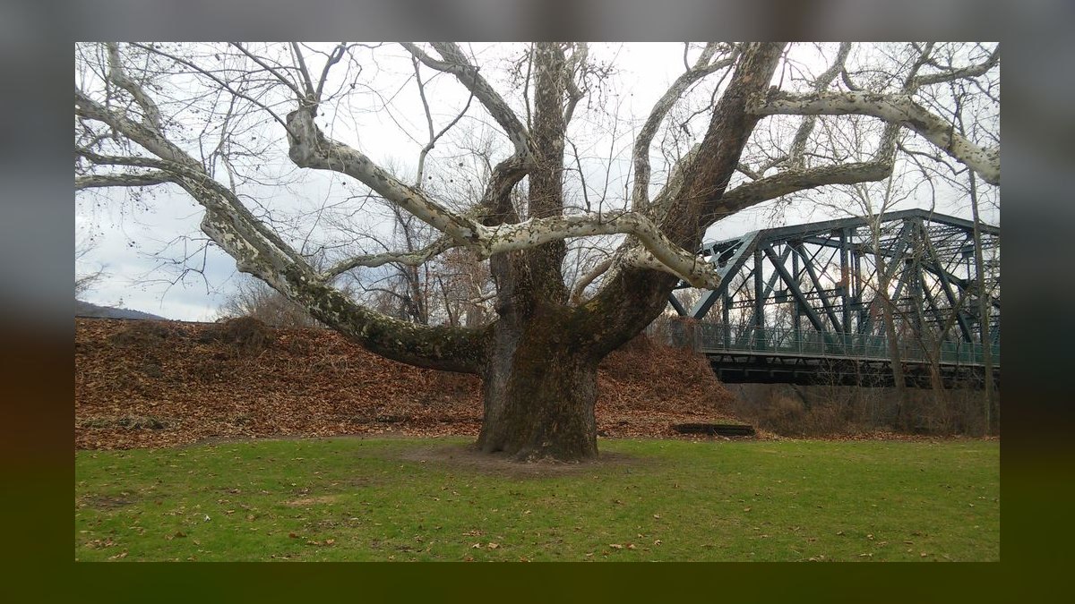 Top 10 Best Towns to Live in Connecticut in 2027 — figure 8