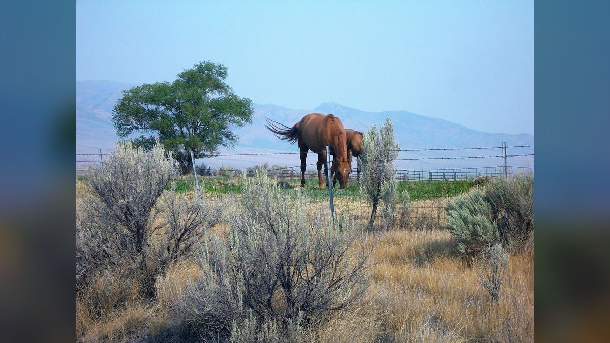 Top 10 Best Places to Buy a Home in Idaho — figure 4