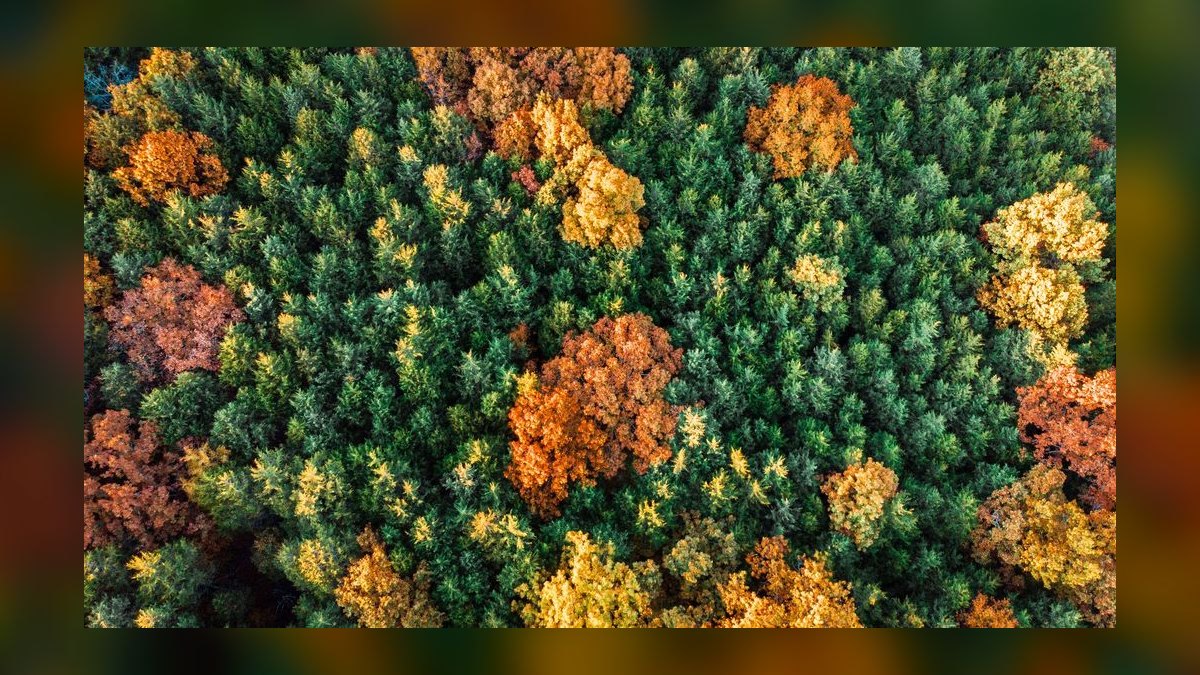 Top 10 Best Towns to Live in the Ozarks in 2027 — figure 10