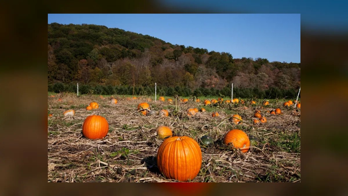 Top 10 Places to Retire in Connecticut in 2027 — figure 5